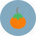 Fruit Food Healthy Icon