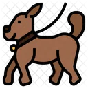 Walking Your Dog Pet Dog Icon