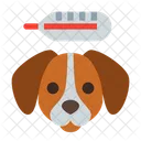 Pets Medical Examination  Symbol