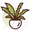 Nest Farn Symbol