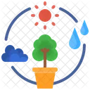 Photosynthesis Carbon Emissions Reduction Ecology And Environment Carbon Cycle Climate Season アイコン