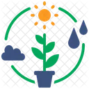 Photosynthesis Carbon Emissions Reduction Ecology And Environment Carbon Cycle Climate Season アイコン