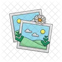 Picture Photo Image Icon