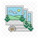 Picture Polaroid Photo Icon