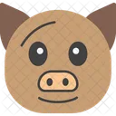 Pig Face  Icon