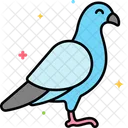 Pigeon  Icon