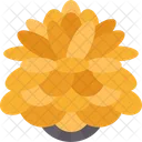 Pine Cone Nature Icon