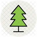 Pine Tree Fir Icon