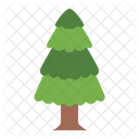 Pine  Icon