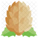 Pine Cone Christmas Winter Icon