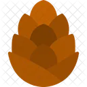 Pine cone  Icon