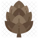 Pine Cone Pine Nut Icon