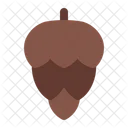 Pine cone  Icon