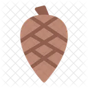 Pine Cone  Icon