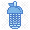 Pine Cone  Icon