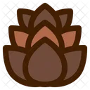 Pine Cone Nut Autumn Icon