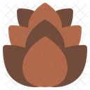 Pine Cone Nut Autumn Icon