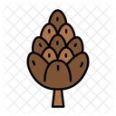 Pine Cone Pine Cone Icon