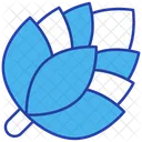 Pine Cone Icon