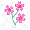 Pink Cinquefoil  Icon