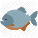 Piranha  Icon