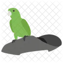 Pirate Parrot Pirate Bird Cockatoo Icon