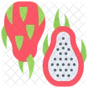 Pitahaya Fruit Fresh Icon