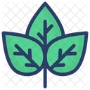 Plant Ecology Plantae Icon