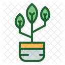 Plant Pot Plant Pot Icon