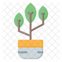 Plant Pot Plant Pot Icon