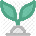 Plant  Icon