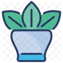 Plant Tree Herbs Icon