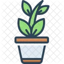 Plant Foliage Tree Icon