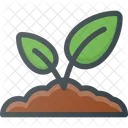 Plant  Icon