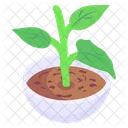 Plant  Icon