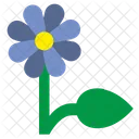 Plant  Icon