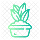 Plant  Icon