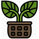 Plant  Icon