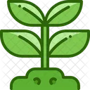 Plant  Icon