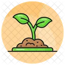 Plant Sprout Farming Icon