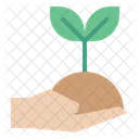 Plant Care Plant Hand Icon