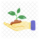 Plant Care Sapling Farming Icon