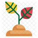 Summer Spring Leaf Icon