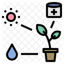 Plant Nutrient Plant Nutrient Icon