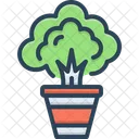 Plant Herb Shrub Icon