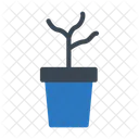 Plant Pot  Icon