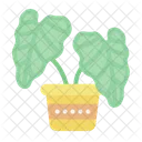 Plant Pot  Icon