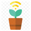 Plant Pot  Icon