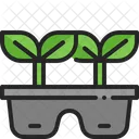 Plant Seedling Tray Icon