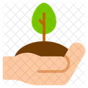 Plant trees  Icon